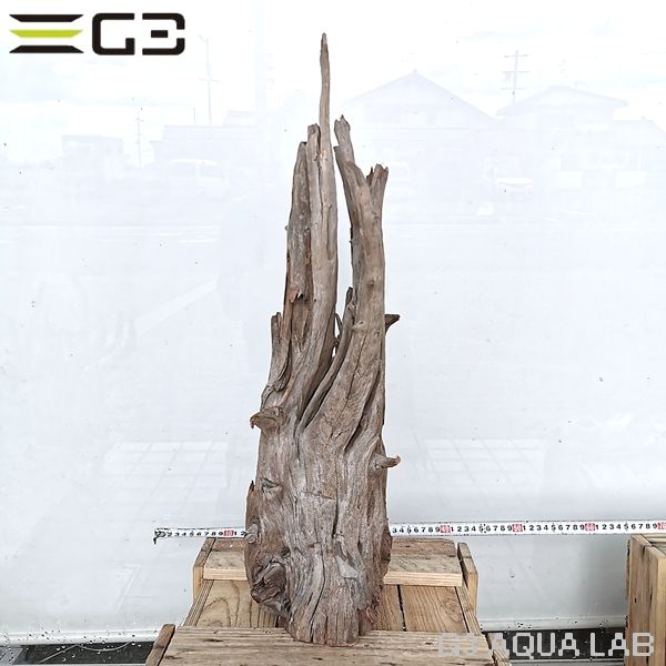 No,1012�����ͥ��ߥե����֥�å��ۡ���ή�ڡ�XXL������