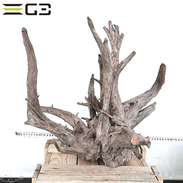 No,1016�����ͥ��ߥե����֥�å��ۡ���ή�ڡ�XXL������