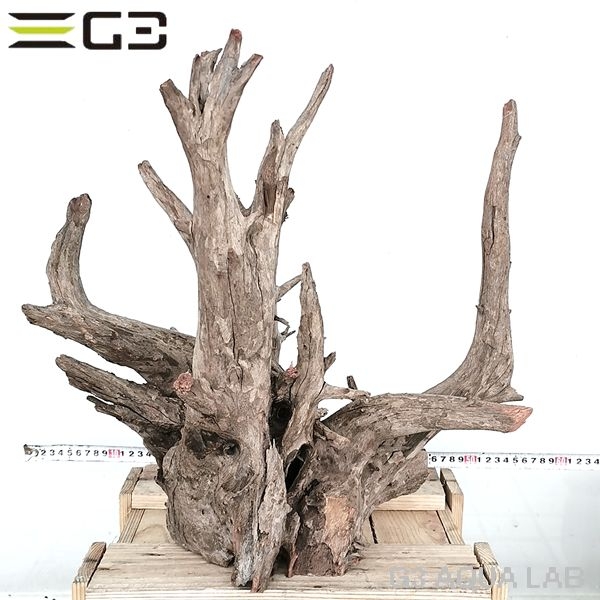 No,1016�����ͥ��ߥե����֥�å��ۡ���ή�ڡ�XXL������