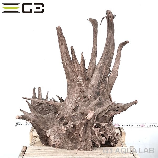 No,1020 ソネケミファ ブラックホーン流木 XXLサイズ