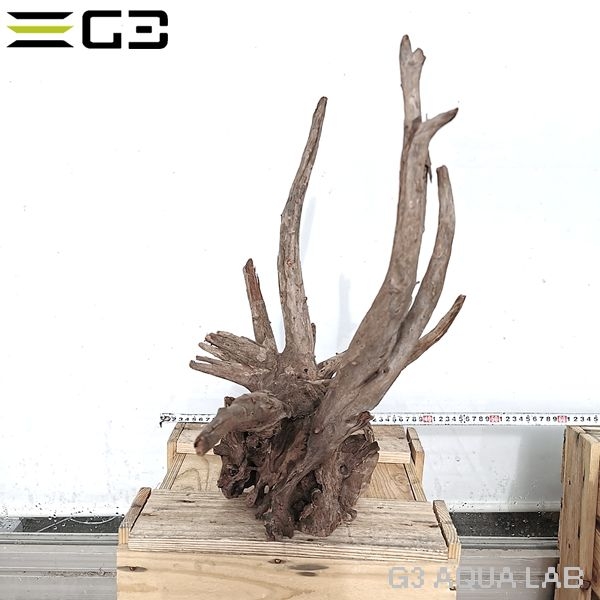 No,1025�����ͥ��ߥե����֥�å��ۡ���ή�ڡ�XXL������