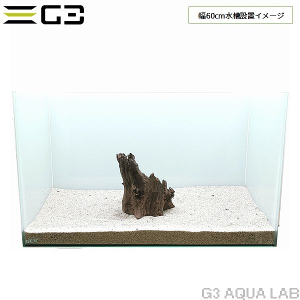 No,561 ������ץ��å� SS������  [4948465203580]