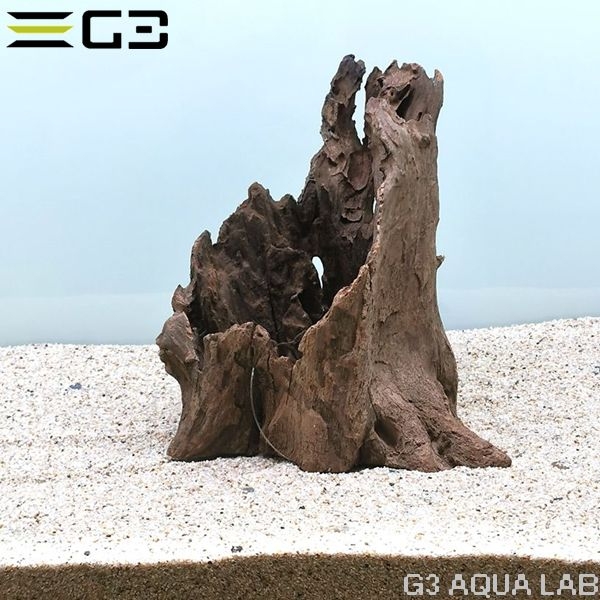 No,561 ������ץ��å� SS������  [4948465203580]