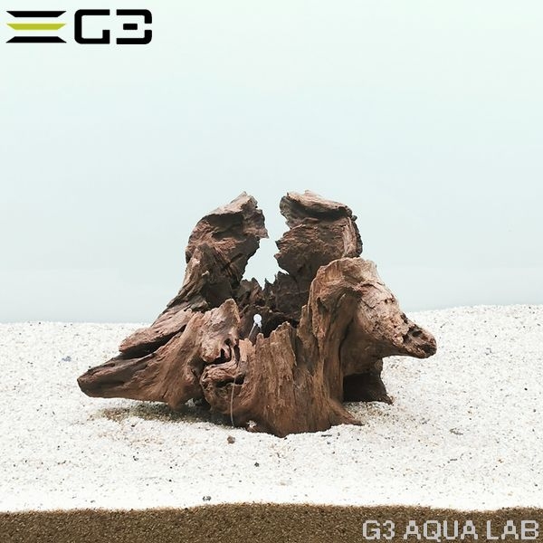 No,563 ������ץ��å� SS������  [4948465203580]