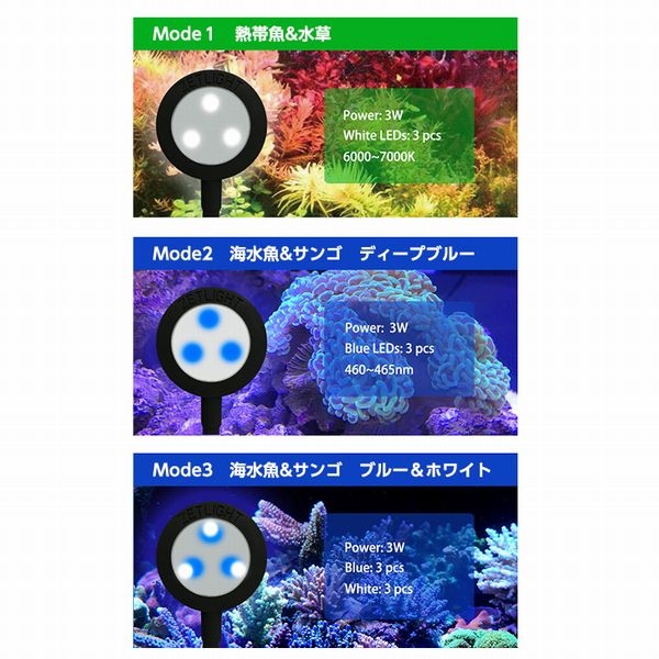 ZETLIGHT ���åȥ饤�� �ߥ�LED��[6928286351132]