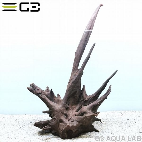 No,209 �֥�å��ۡ��� M  [4948465203580]