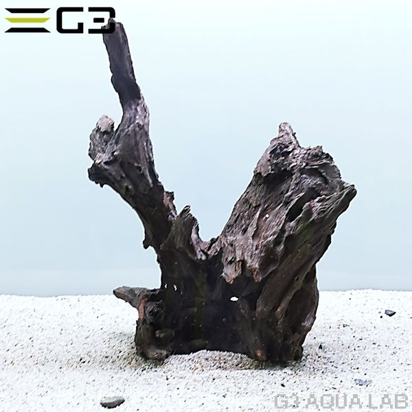 No,613 �֥�å��ۡ��� S  [4948465203344]