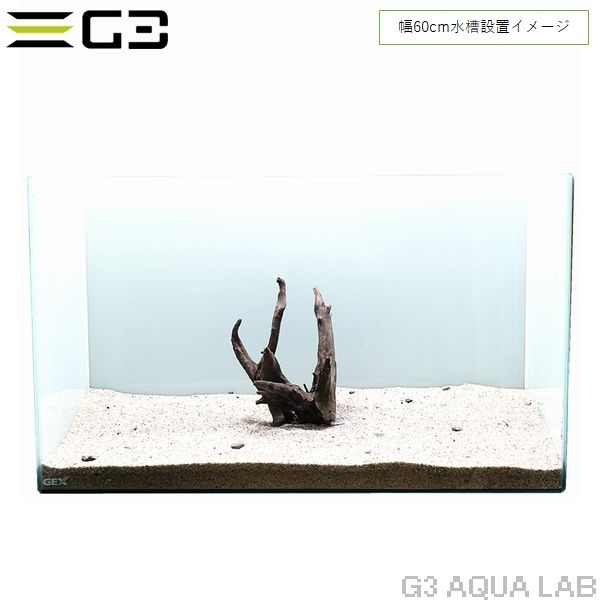 No,614 ֥åۡ S  [4948465203344]