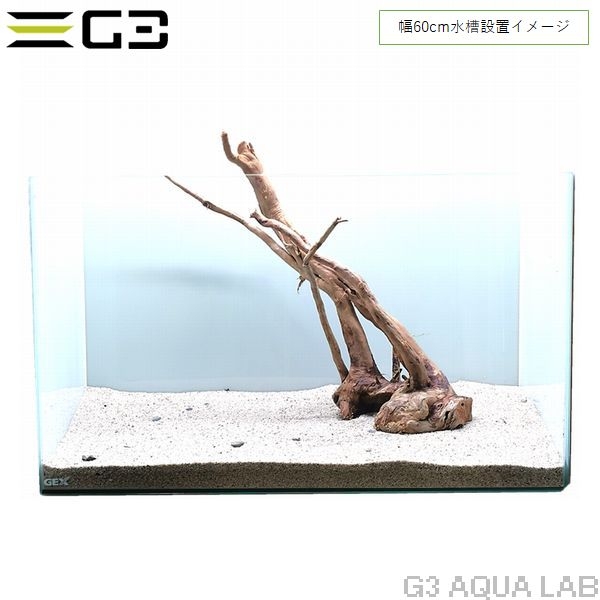 No,341 �֥������å���ή�� L������  [el20210303]