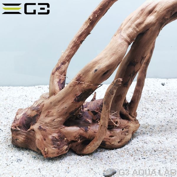 No,341 �֥������å���ή�� L������  [el20210303]