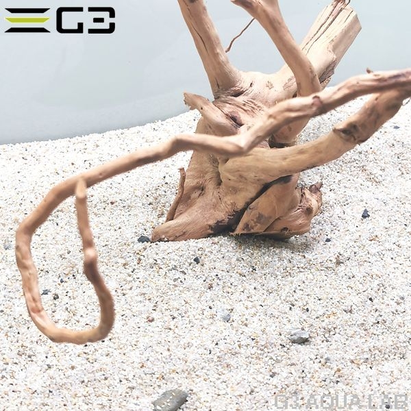 No,342 �֥������å���ή�� L������  [el20210303]