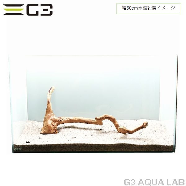 No,343 �֥������å���ή�� L������  [el20210303]