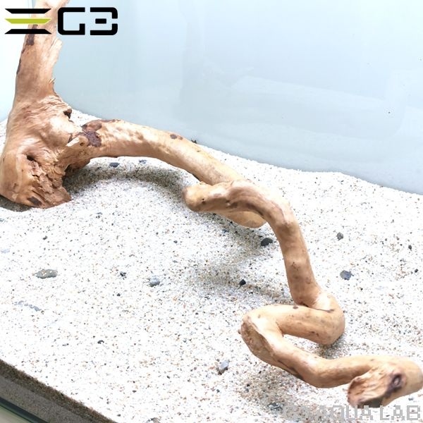 No,343 �֥������å���ή�� L������  [el20210303]