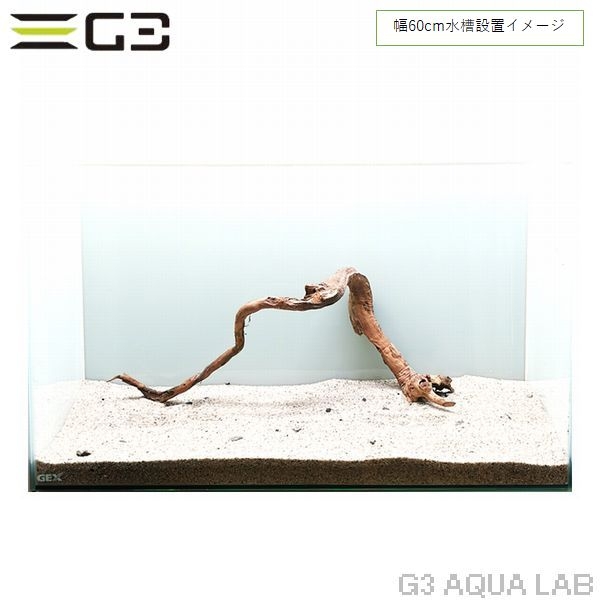 No,344 �֥������å���ή�� L������  [el20210303]