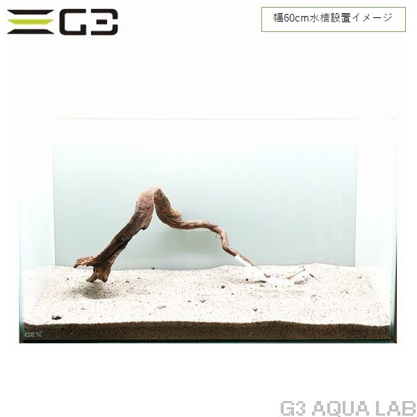 No,344 �֥������å���ή�� L������  [el20210303]