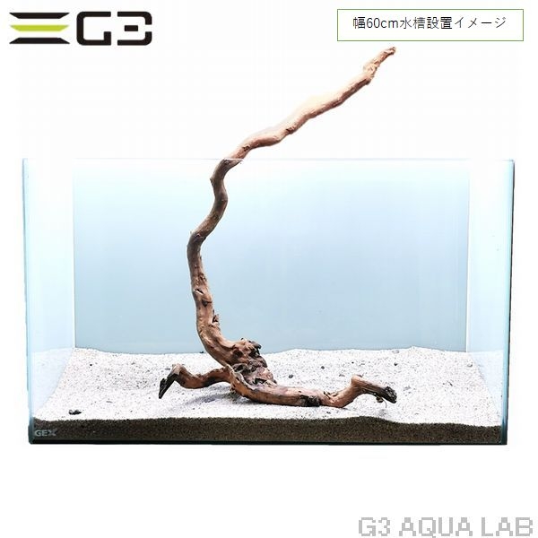 No,345 �֥������å���ή�� L������  [el20210303]