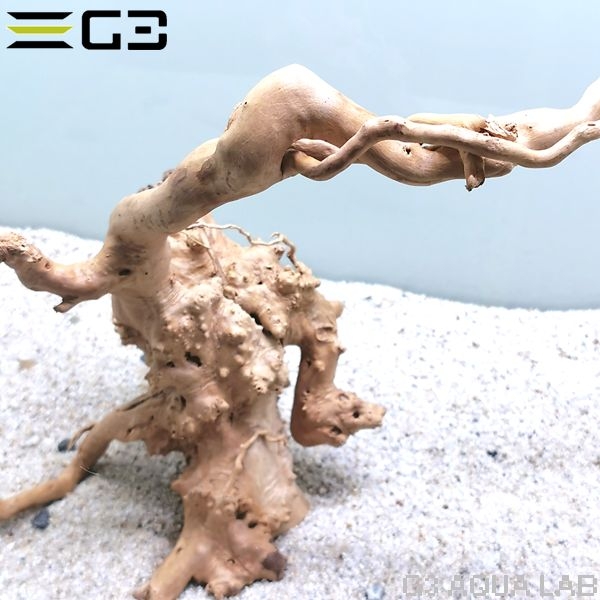 No,346 �֥������å���ή�� L������  [el20210303]