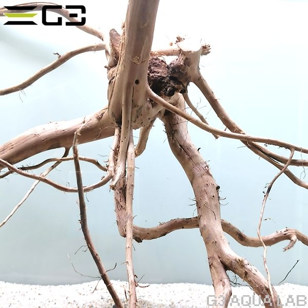 No,349 �֥������å���ή�� L������  [el20210303]