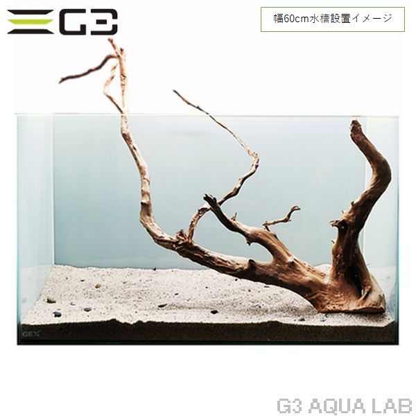 No,350 �֥������å���ή�� L������  [el20210303]