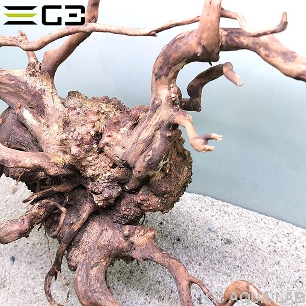 No,351 �֥������å���ή�� L������  [el20210303]