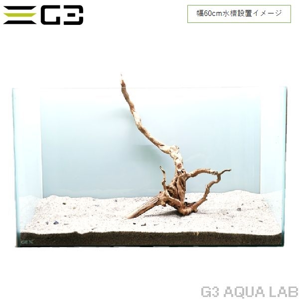 No,353 �֥������å���ή�� L������  [el20210303]