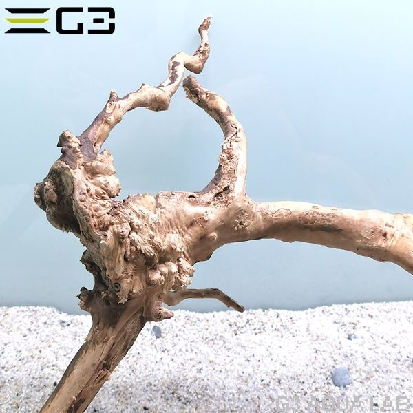 No,353 �֥������å���ή�� L������  [el20210303]