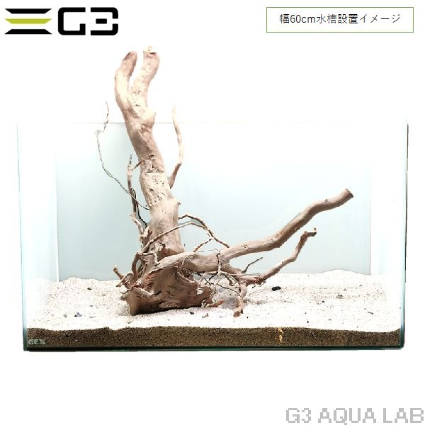 No,354 �֥������å���ή�� L������  [el20210303]