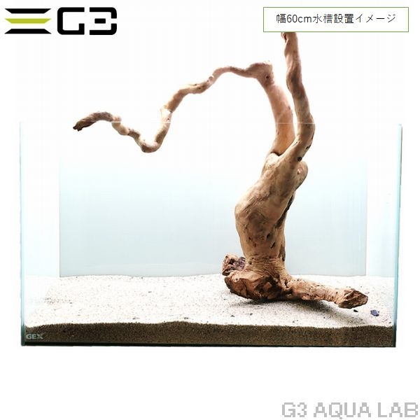 No,355 �֥������å���ή�� L������  [el20210303]