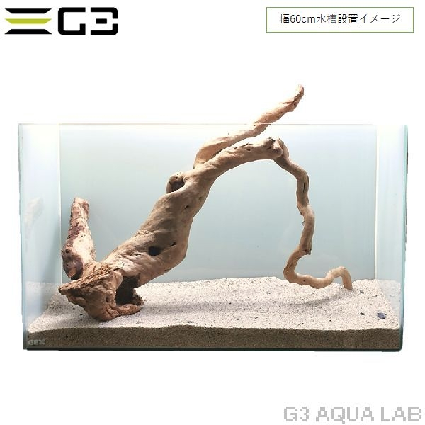 No,355 �֥������å���ή�� L������  [el20210303]