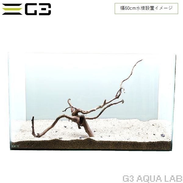 No,356 �֥������å���ή�� L������  [el20210303]