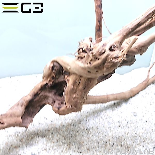 No,357 �֥������å���ή�� L������  [el20210303]