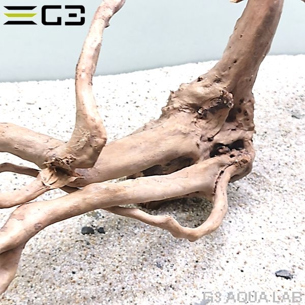 No,359 �֥������å���ή�� L������  [el20210303]