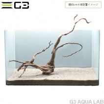 No,359 �֥������å���ή�� L������  [el20210303]