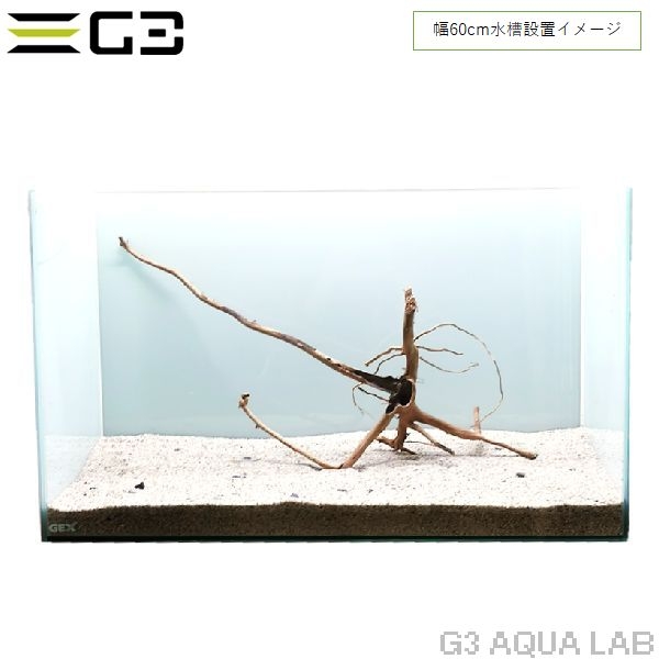 No,360 �֥������å���ή�� L������  [el20210303]