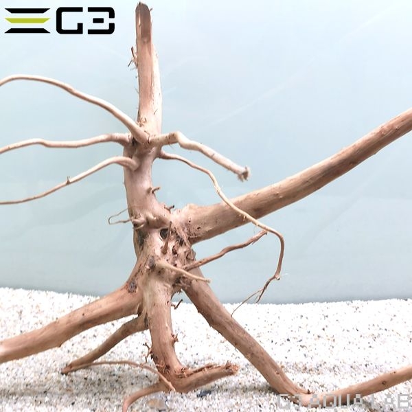 No,360 �֥������å���ή�� L������  [el20210303]