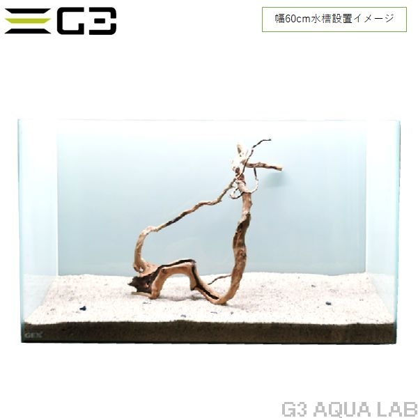 No,361 �֥������å���ή�� L������  [el20210303]