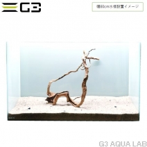 No,361 �֥������å���ή�� L������  [el20210303]