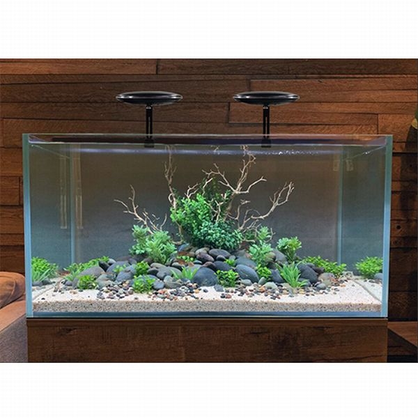 ZETLIGHT UFO�饤�� FreshWater��[6928286361254]