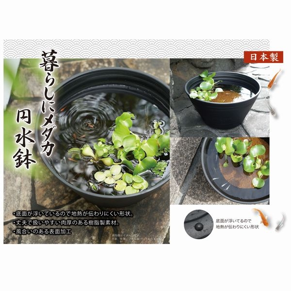 ���ȥ֥� ��餷�˥���� �߿�ȭ �� �գ�����[4972814436725]