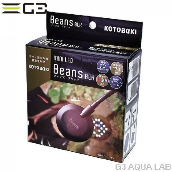 ���ȥ֥� �ߥ�LED �ӡ��� �֥�å���[4972814033771]