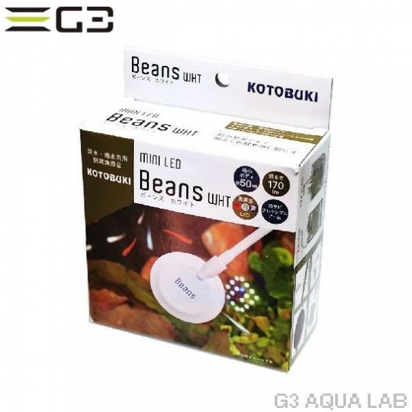 ���ȥ֥� �ߥ�LED �ӡ��� �ۥ磻�ȡ�[4972814033788]