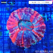 ߥϥʥ ѡޥ顼No,582