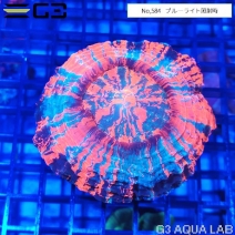 ߥϥʥ ѡޥ顼No,584