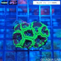 ���������ȥ������ᥤ�����ָ����꡼���No,579��