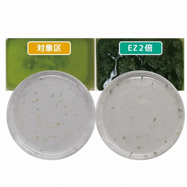 �����������꡼�� EZGREEN 200ml��[4971618934505]