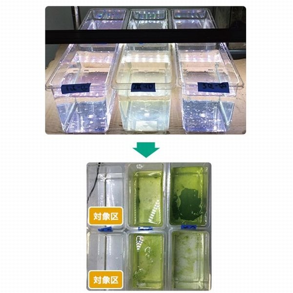 �����������꡼�� EZGREEN 200ml��[4971618934505]