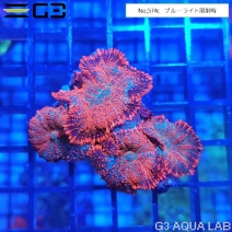 �ǥ�����������롡�����x�֥롼 1���Ρ�No,574c��