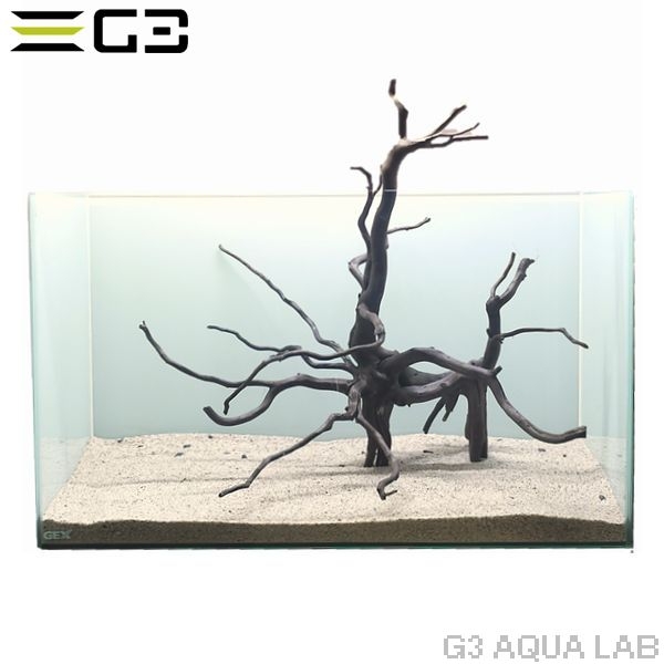 No,303 �֥�å��֥������åɡ��̥�����  [ambw303]