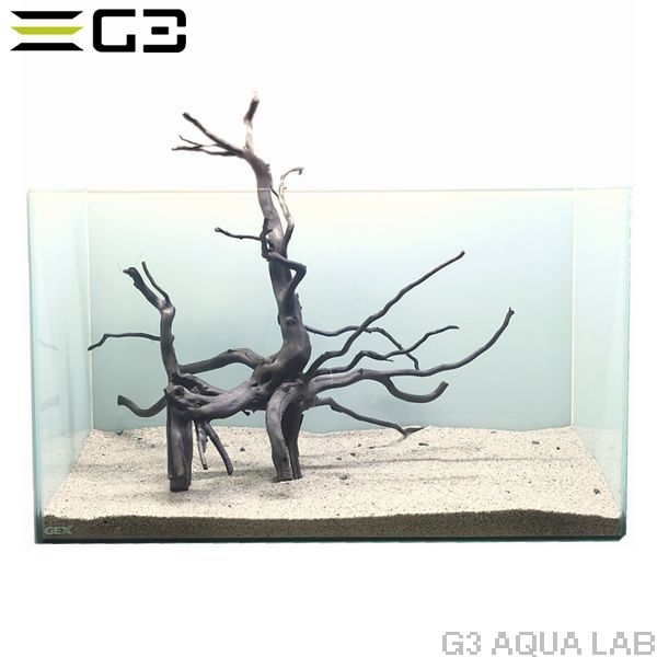 No,303 �֥�å��֥������åɡ��̥�����  [ambw303]