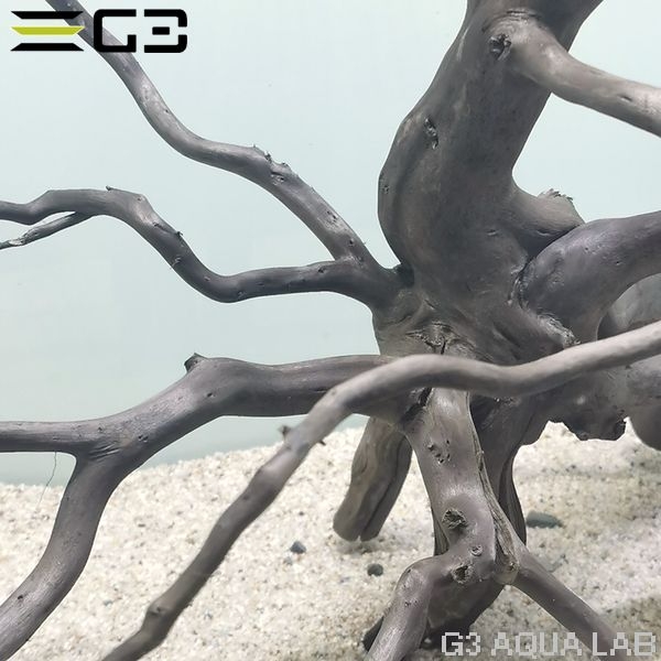 No,303 �֥�å��֥������åɡ��̥�����  [ambw303]